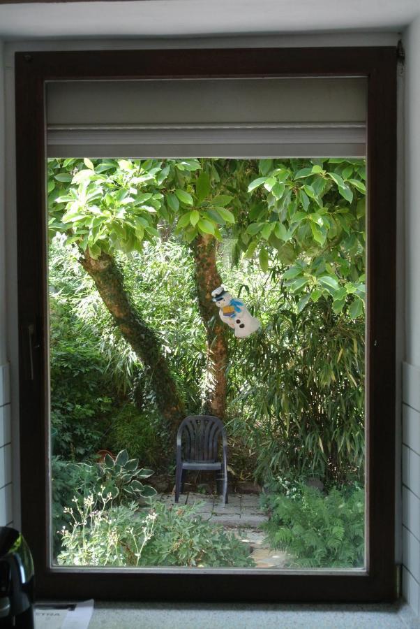 Ferienwohnung Zur Muehle Sotzweiler エクステリア 写真
