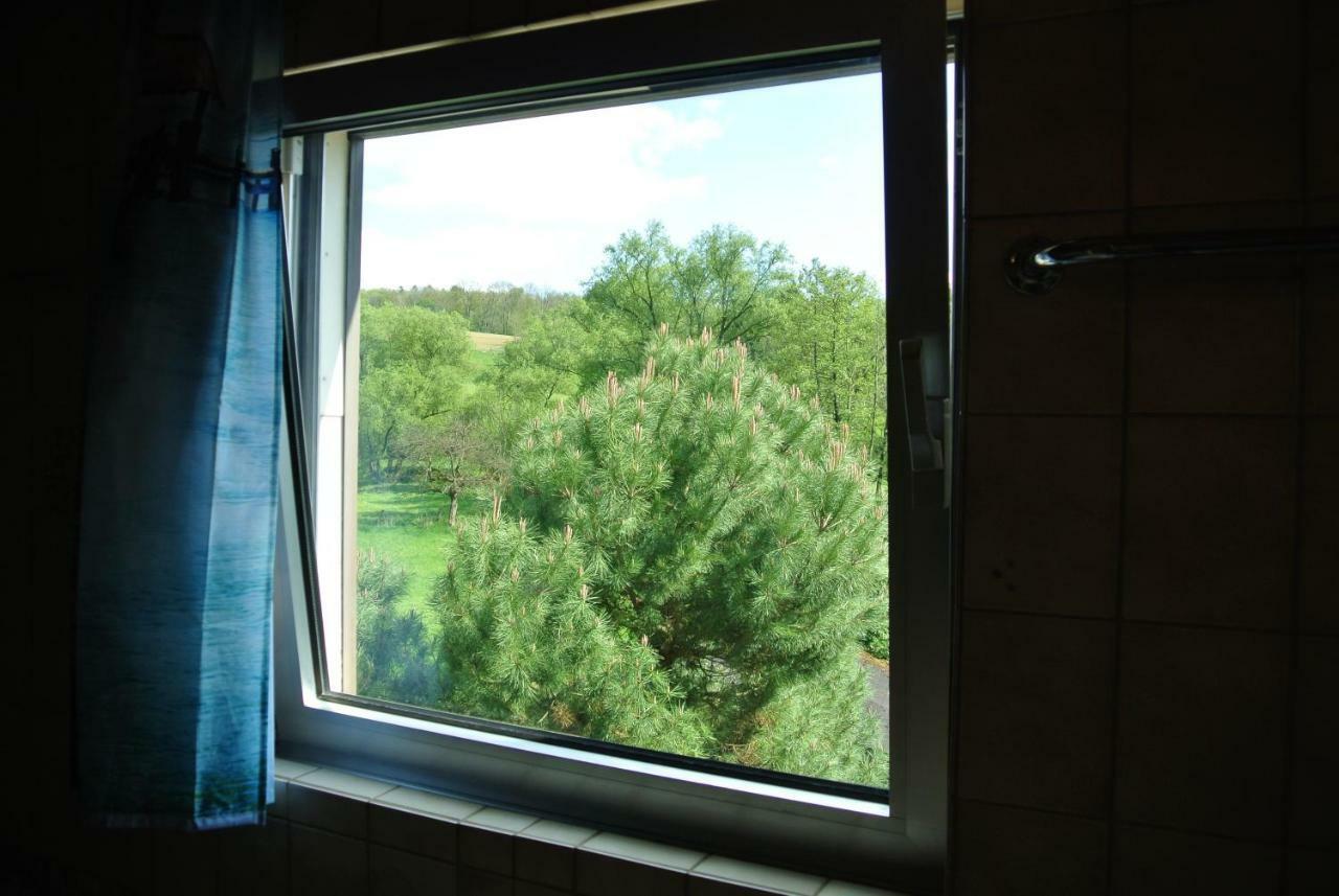 Ferienwohnung Zur Muehle Sotzweiler エクステリア 写真