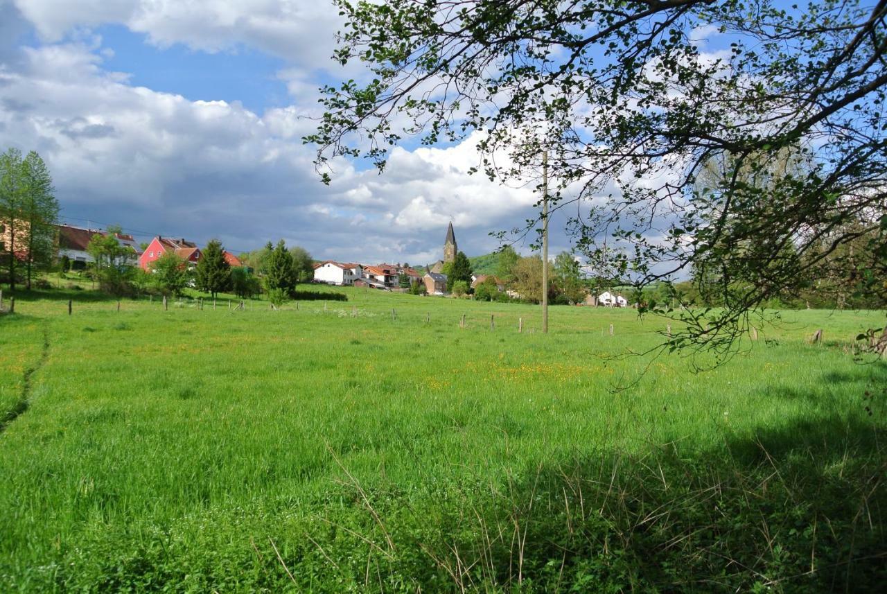Ferienwohnung Zur Muehle Sotzweiler エクステリア 写真