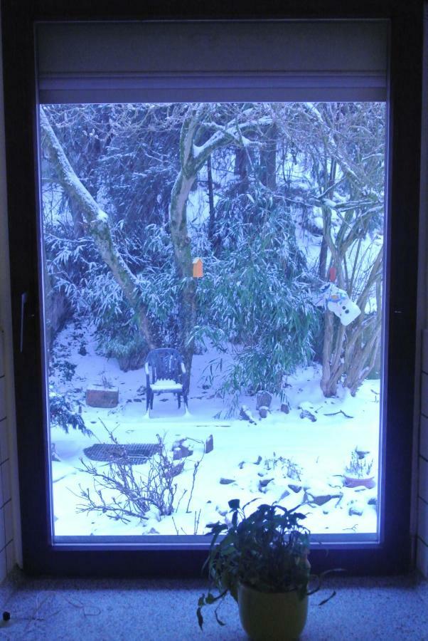 Ferienwohnung Zur Muehle Sotzweiler エクステリア 写真